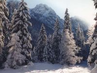 Dolinę Strążyską zamyka masyw najbardziej sławnego szczytu - Giewontu